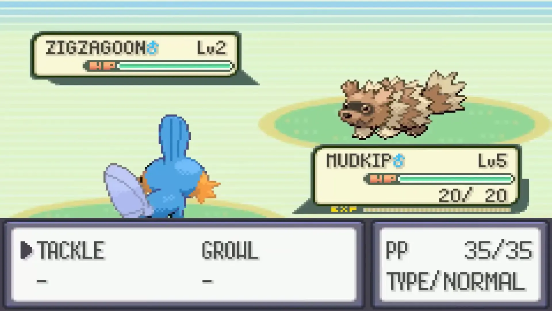 A Pokemon battle scene in Pokemon Emerald