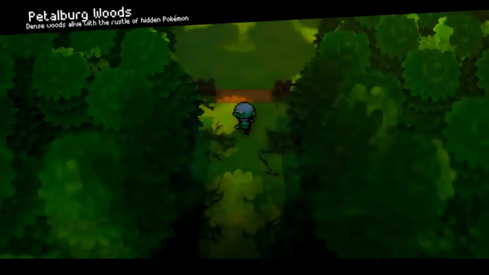 Dark tree-lined path through Petalburg Woods