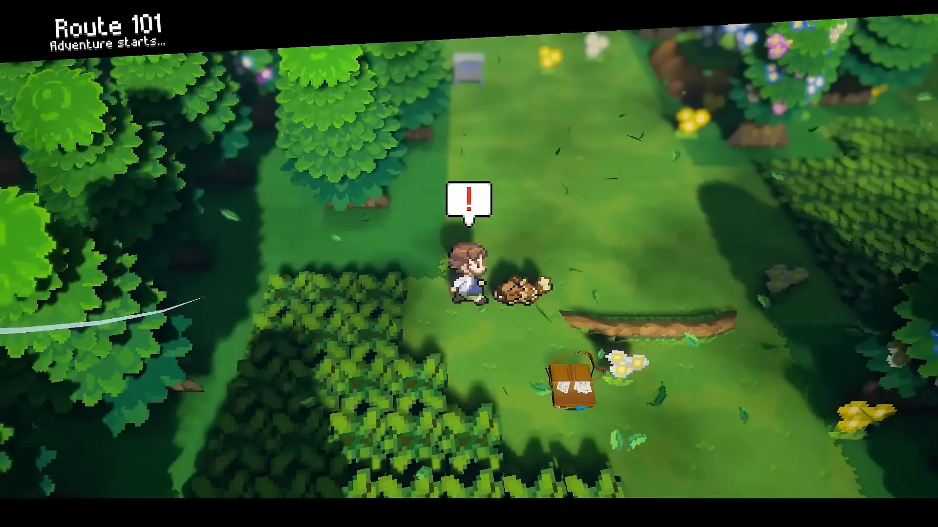 Professor Birch's Route 101 encounter in Pokemon Gamma Emerald