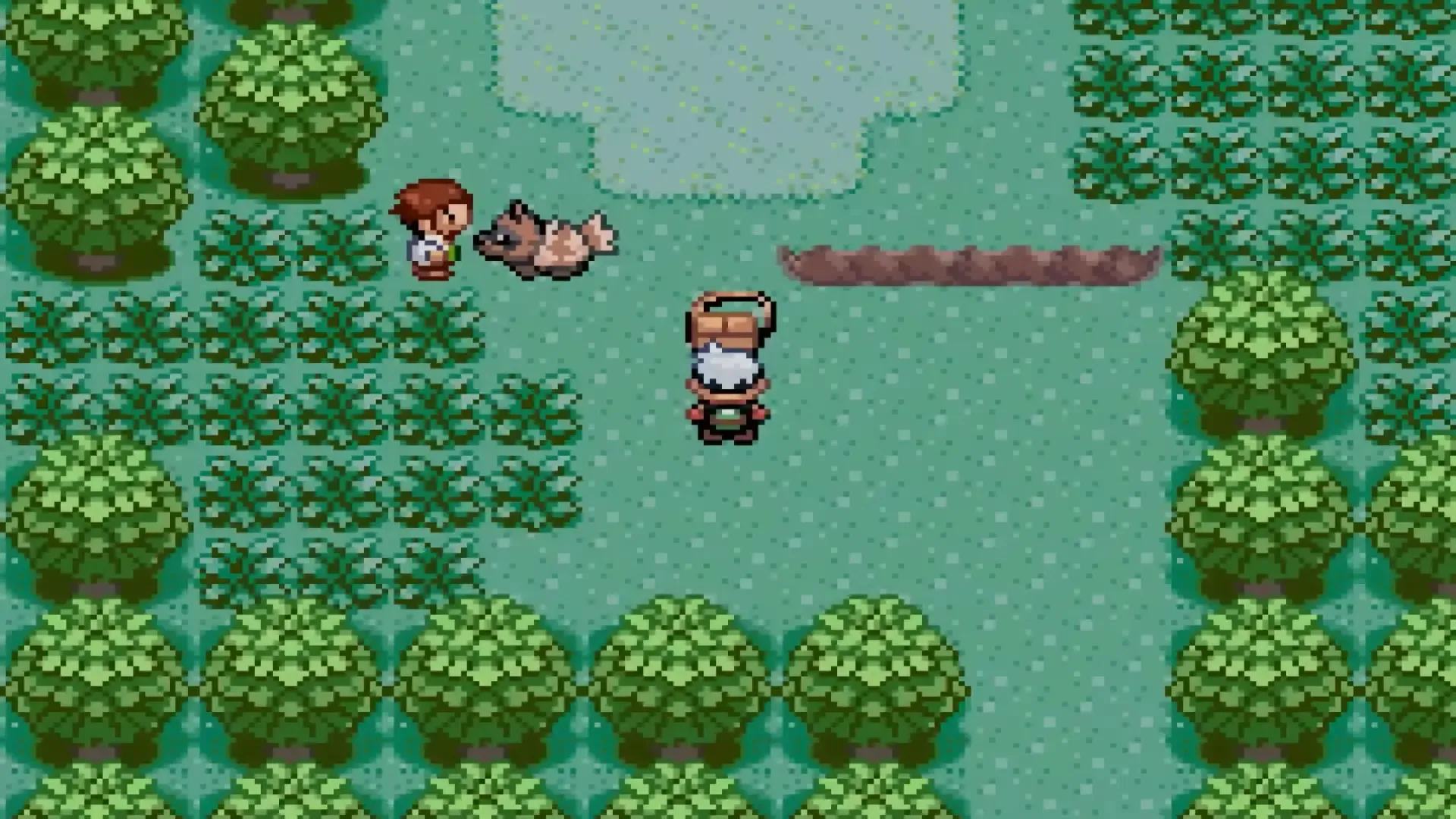 Professor Birch being chased on Route 101 in Pokemon Emerald