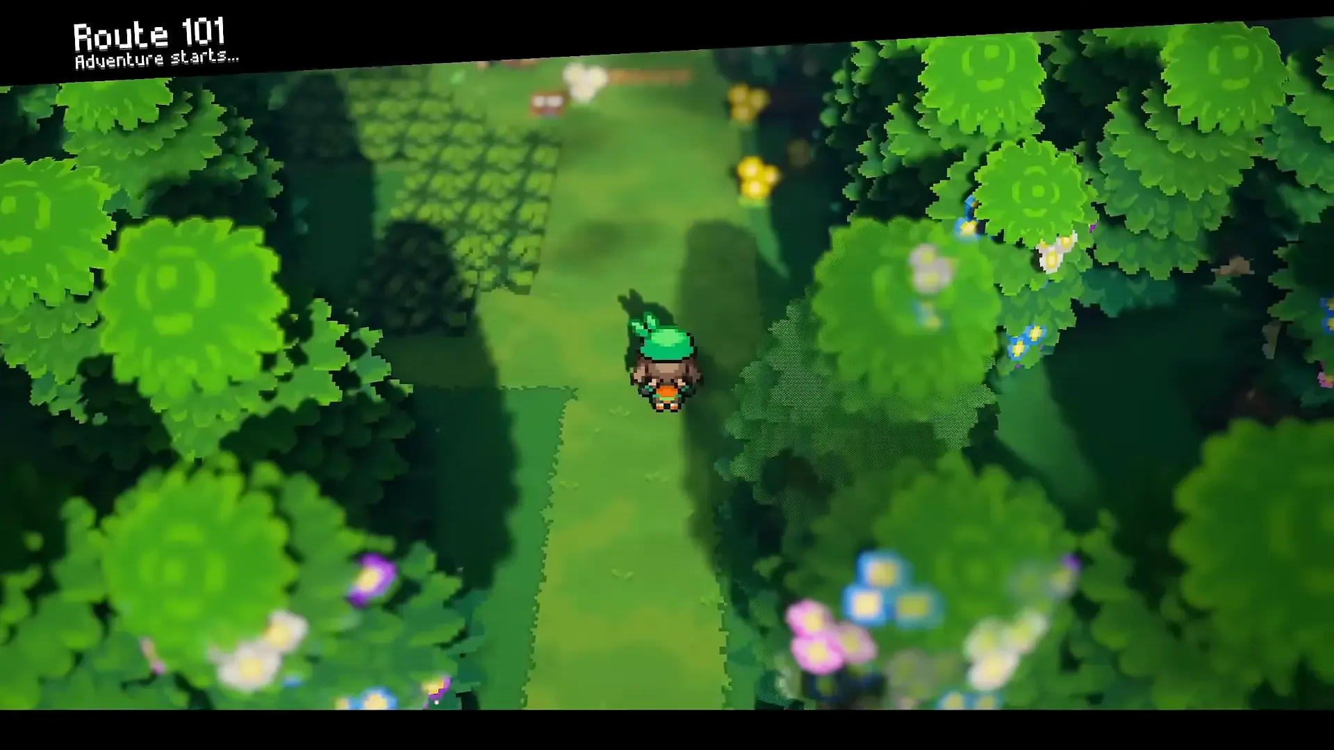 Route 101 in Pokemon Gamma Emerald with lush foliage and modern lighting