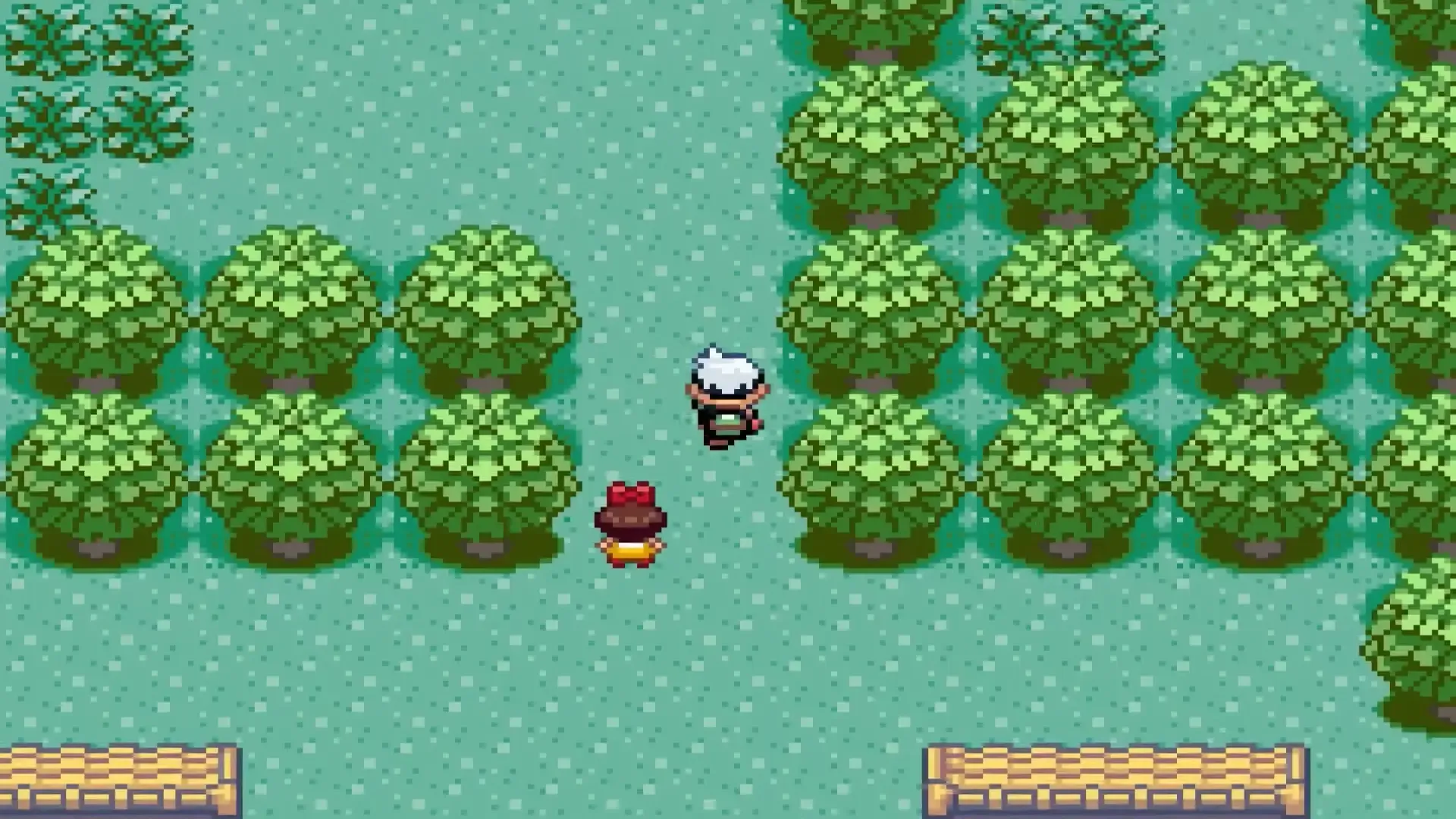 Route 101 in the original Pokemon Emerald on Game Boy Advance