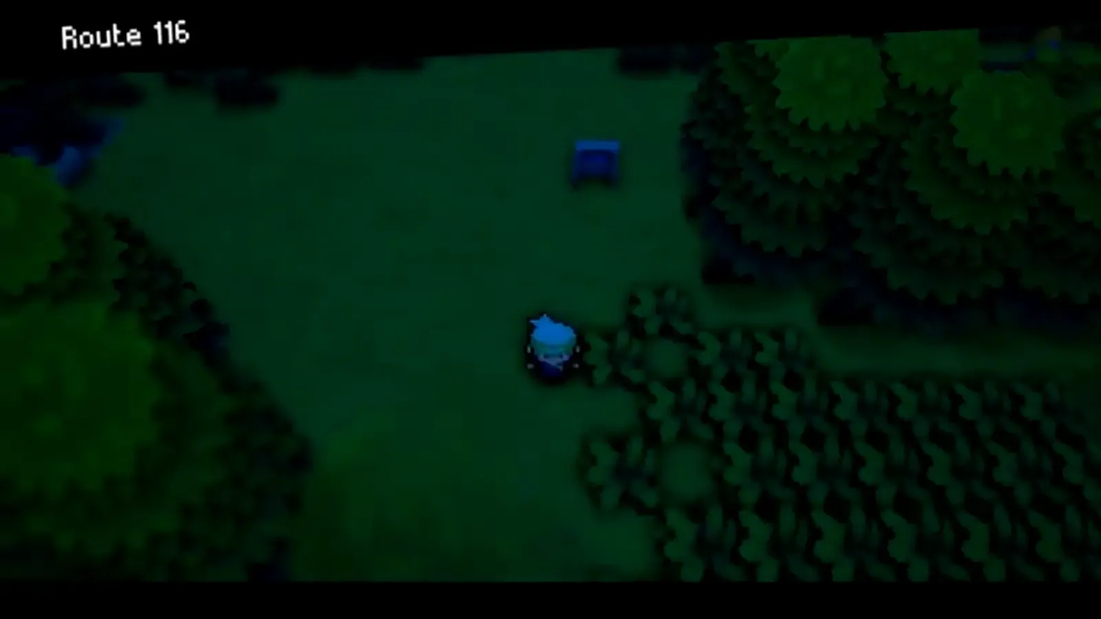 Player walking through the grass on Route 116 east of Rustboro City