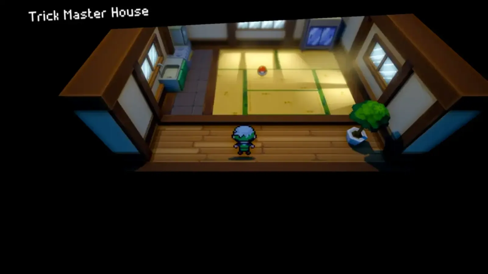 Player inside the Trick Master’s house on Route 110